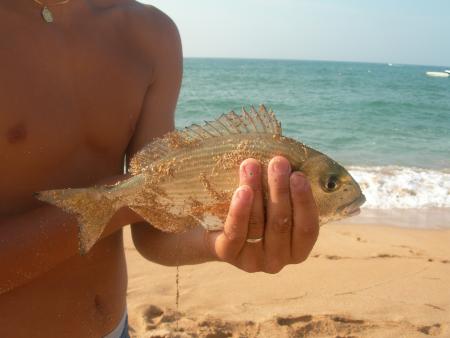 poisson